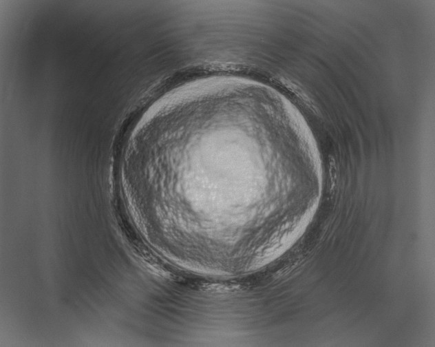 X0000075340494200610061658