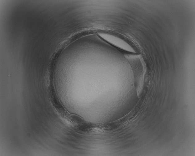 X0000075340496200610061658