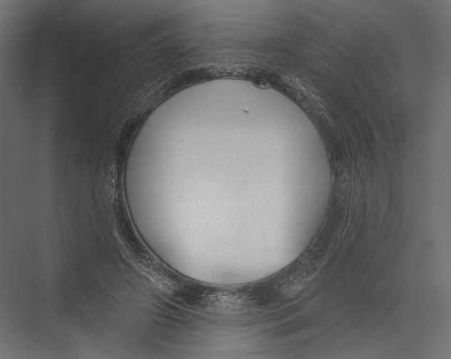 X0000075340498200610061658