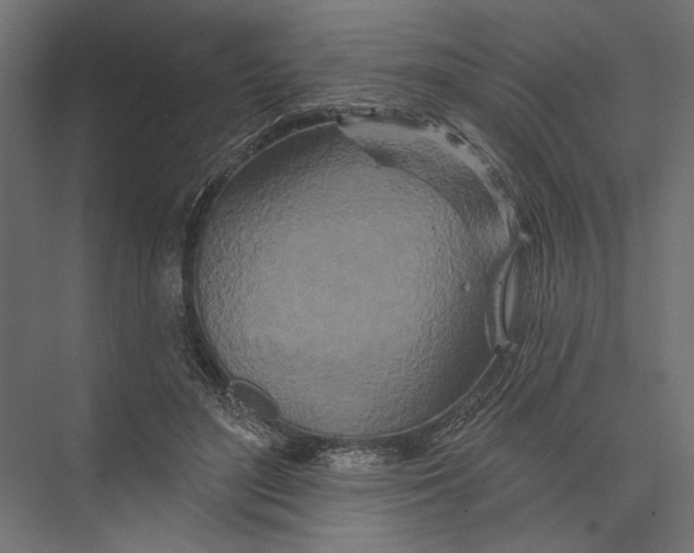 X0000075340500200610061658