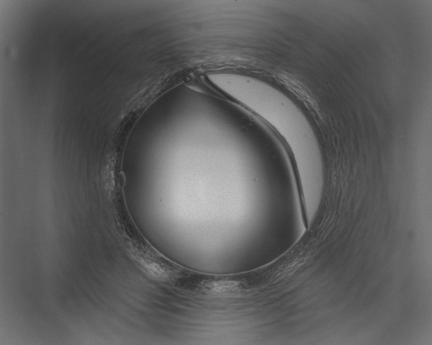 X0000075340501200610061658