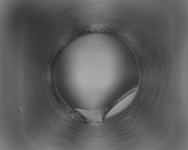 X0000075340508200610061658