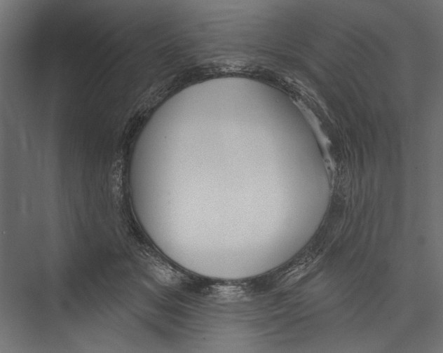 X0000075340509200610061658