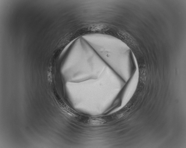 X0000075340510200610061658