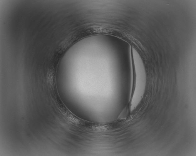 X0000075340513200610061658