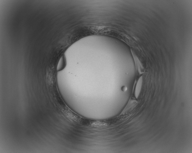 X0000075340515200610061658