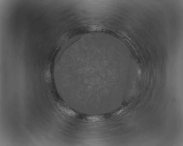 X0000075340516200610061658