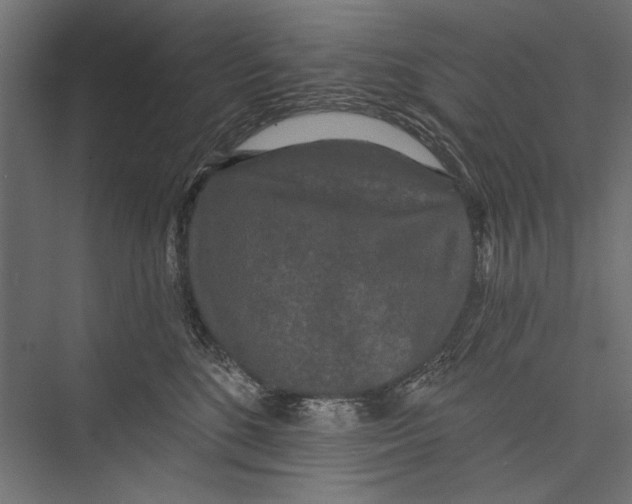 X0000075340520200610061658