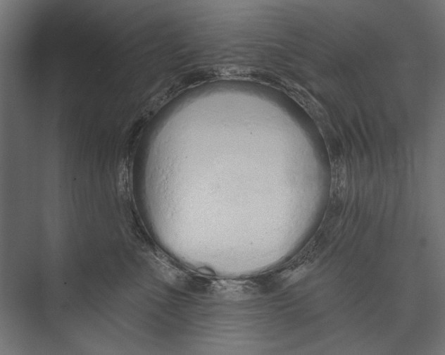 X0000075340523200610061658