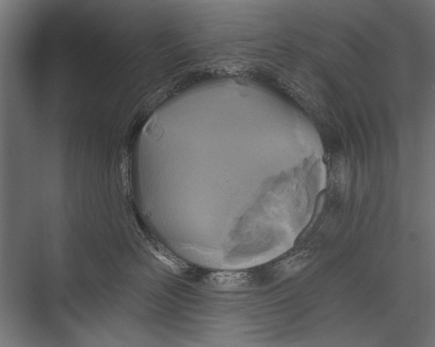 X0000075340526200610061658
