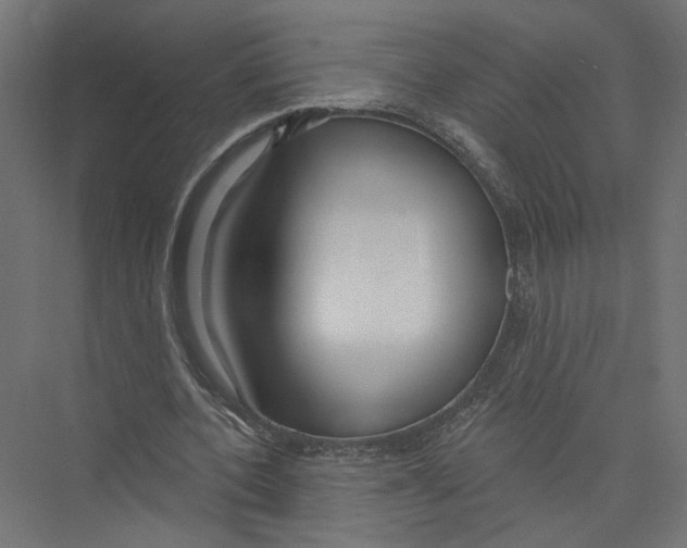 X0000075340532200610061657