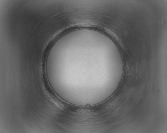 X0000075340535200610061657