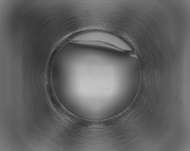 X0000075340536200610061657