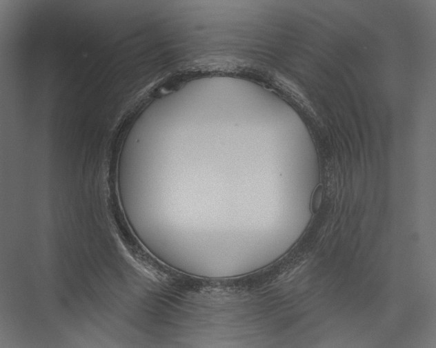 X0000075340538200610061657
