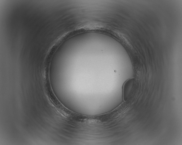 X0000075340539200610061657
