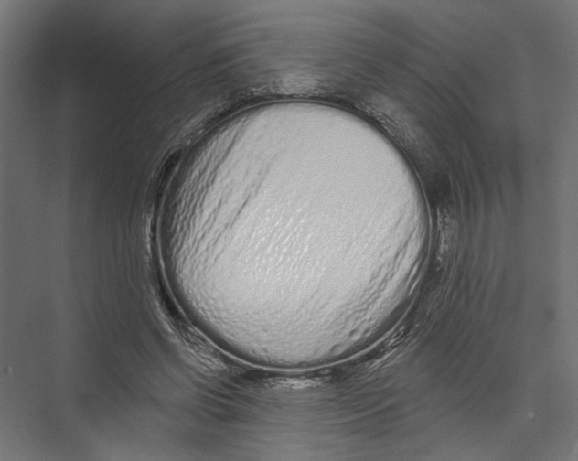 X0000075340542200610061657