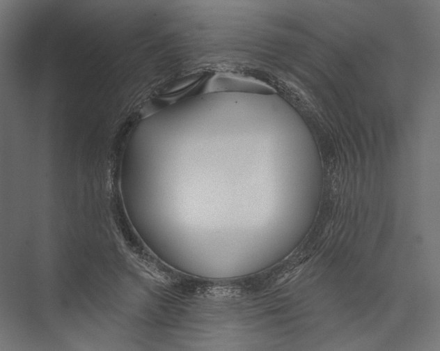 X0000075340546200610061657