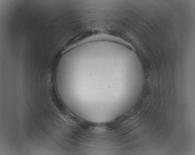 X0000075340548200610061657