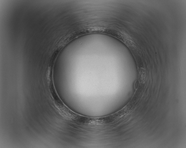 X0000075340550200610061657