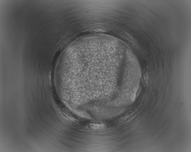 X0000075340552200610061657