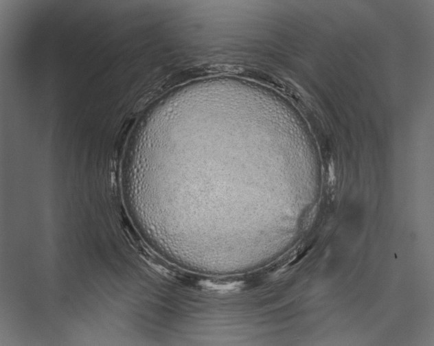 X0000075340553200610061657