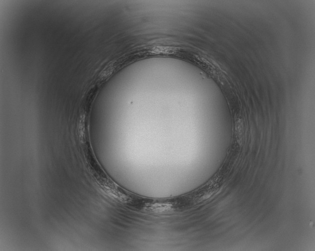 X0000075340554200610061657