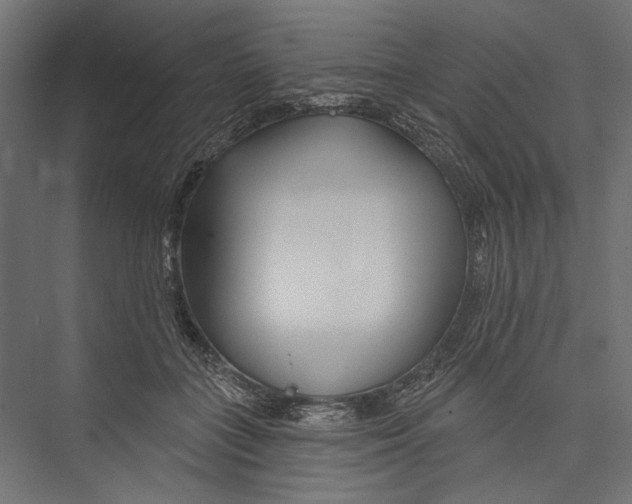 X0000075340555200610061657
