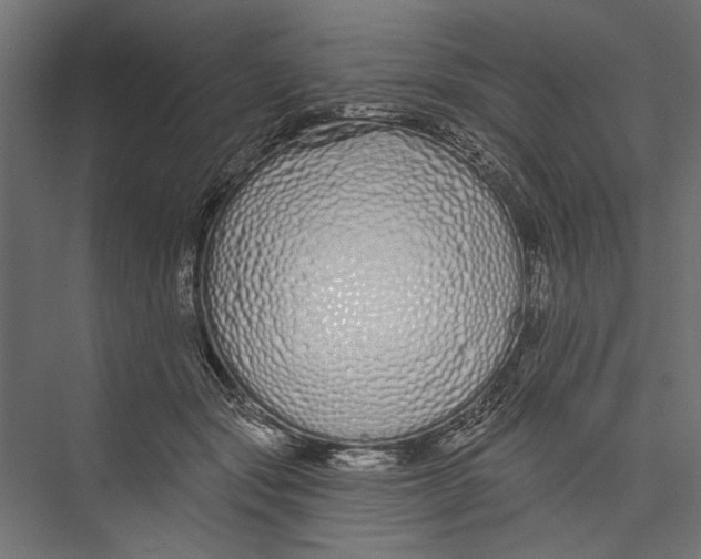 X0000075340557200610061657