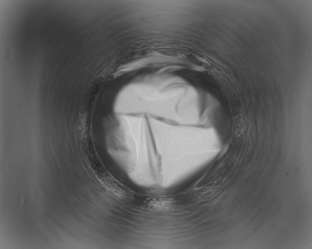 X0000075340560200610061658