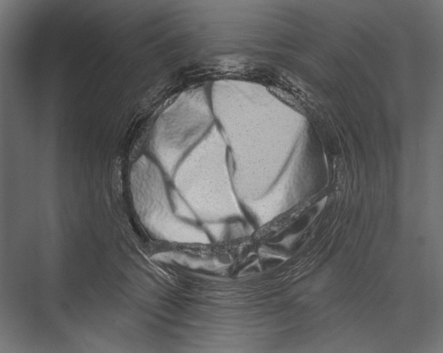 X0000075340562200610061658