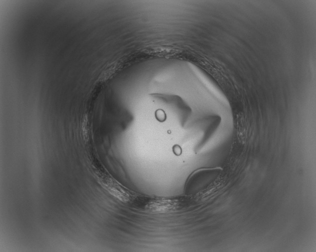 X0000075340563200610061658