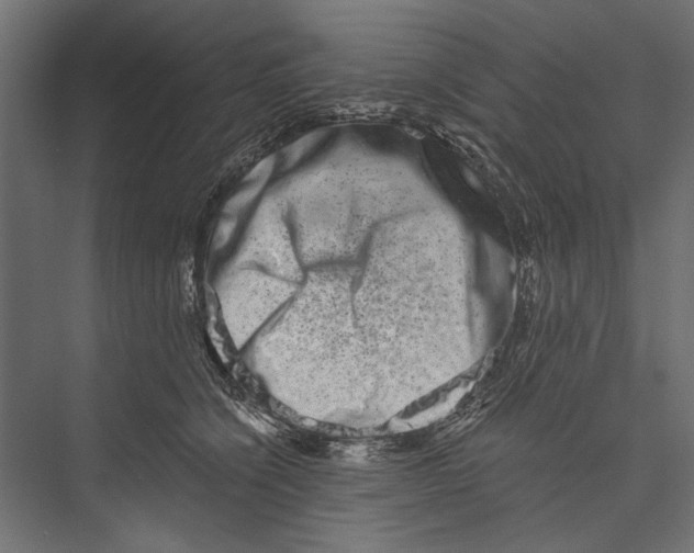 X0000075340564200610061658