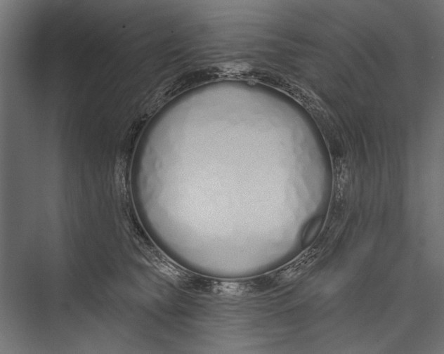 X0000075340565200610061658