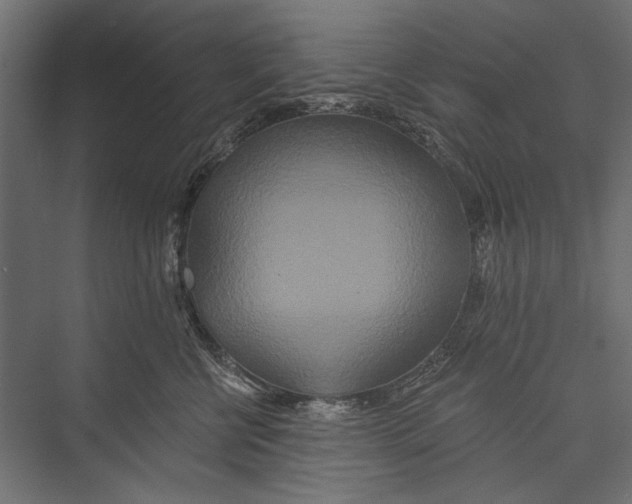 X0000075340570200610061658