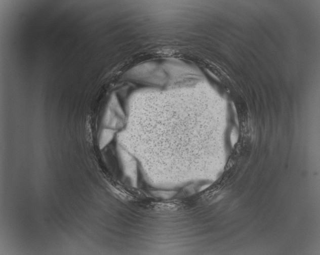 X0000075340572200610061658