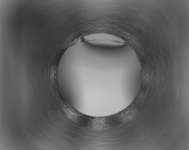 X0000075340574200610061658