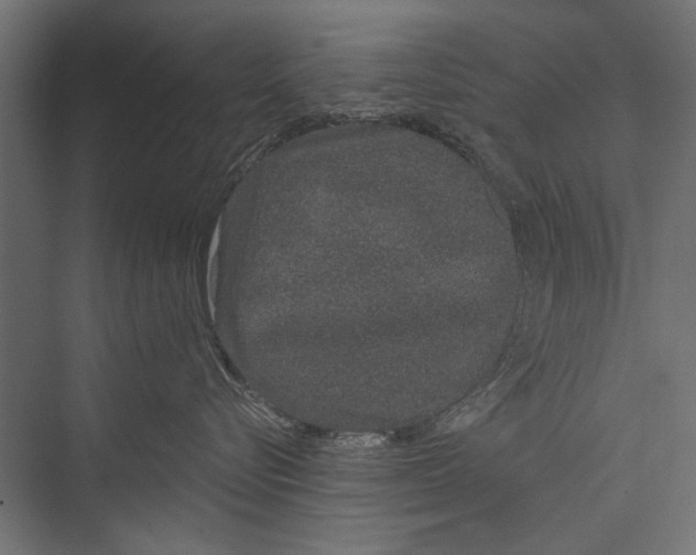 X0000075340576200610061658