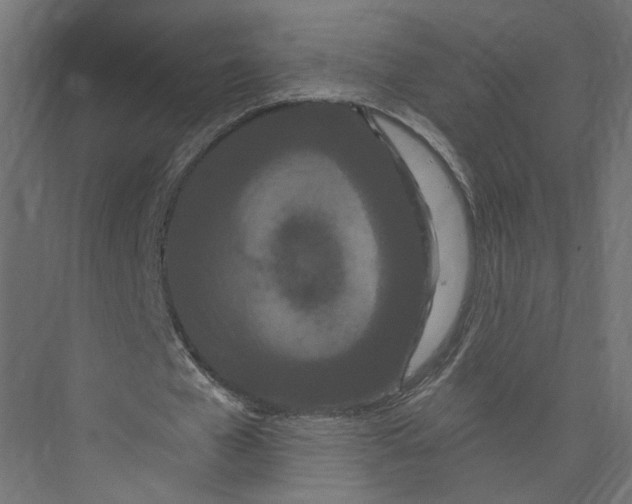 X0000075340577200610061657