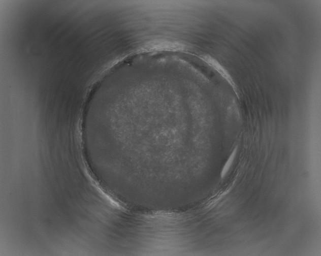 X0000075340581200610061657