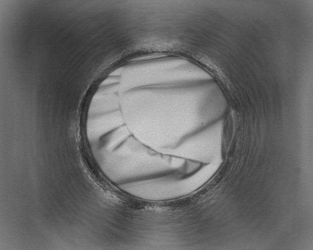 X0000075340582200610061657