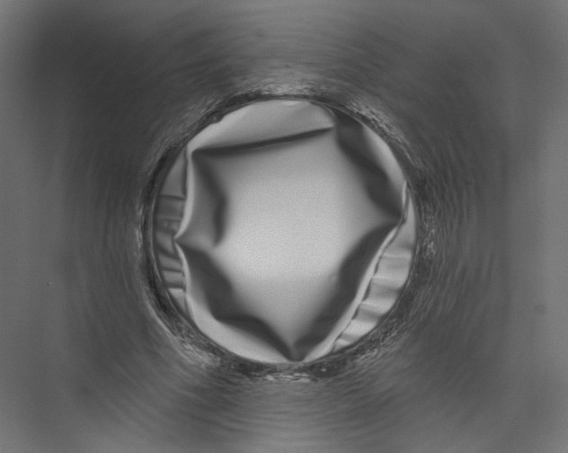 X0000075340586200610061657