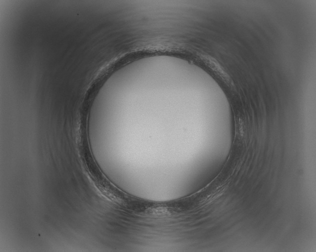 X0000075340588200610061657