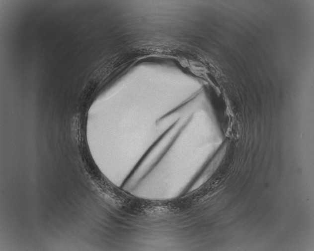 X0000075340594200610061657