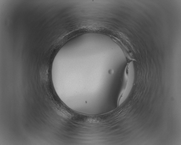 X0000075340596200610061657