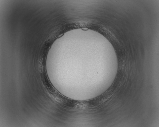 X0000075340599200610061657