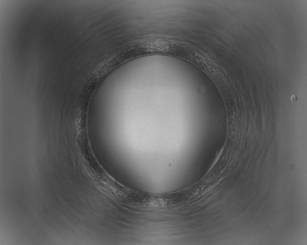X0000075340600200610061657