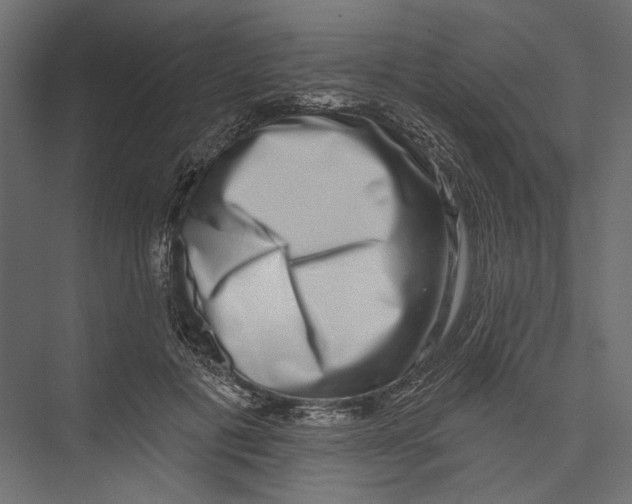 X0000075340601200610061657