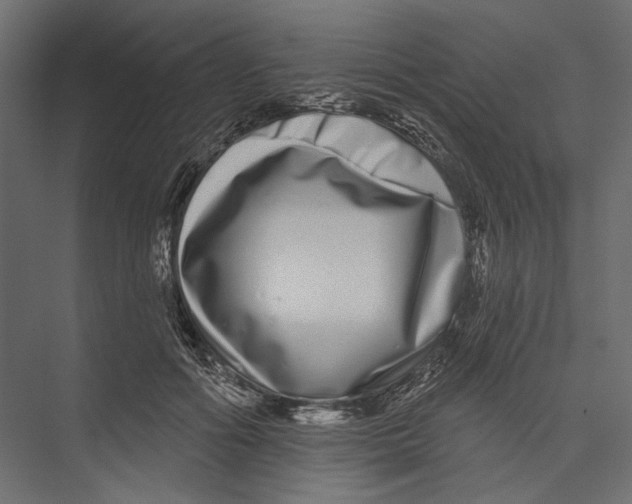 X0000075340602200610061657