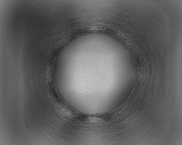 X0000075340605200610061657