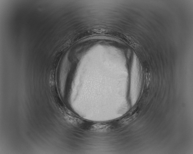 X0000075340606200610061656
